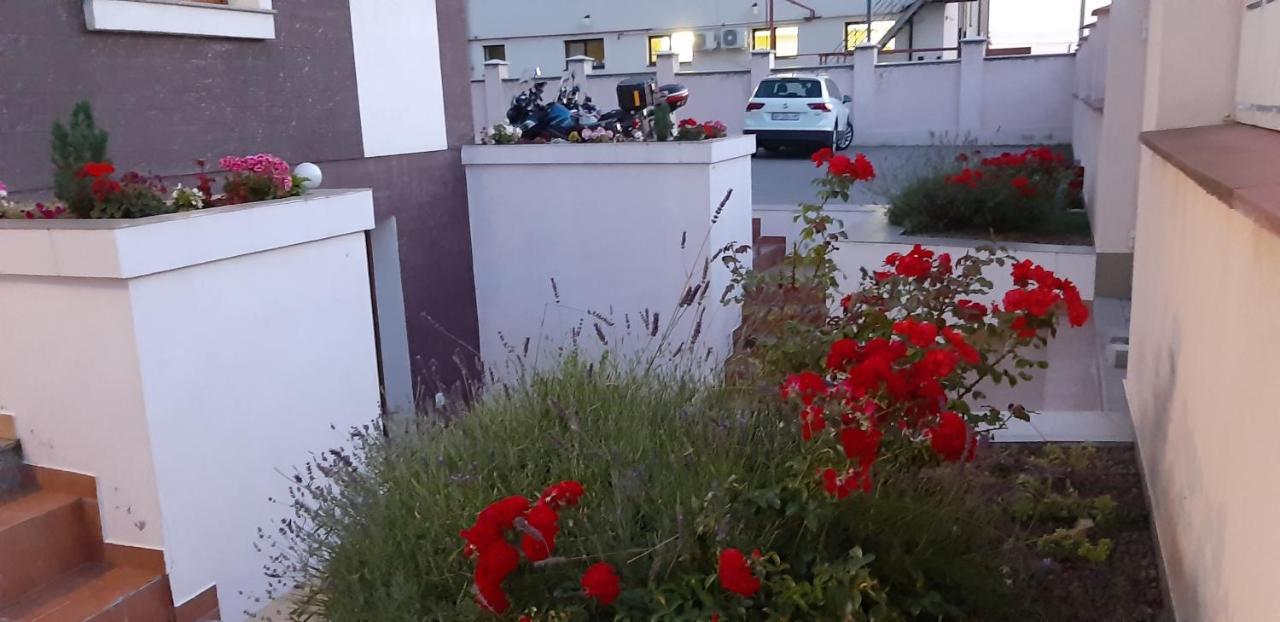 Vila Family Cricova Exterior photo